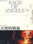 天使的愤怒