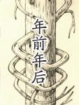 年前年后