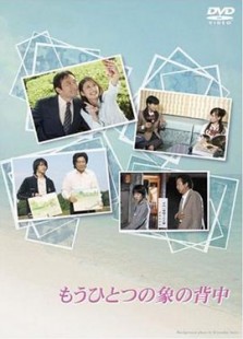 另一个关于象背的故事