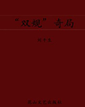 双规奇局