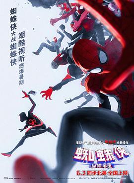 蜘蛛侠：纵横宇宙 Spider-Man: Across The Spider-Verse
