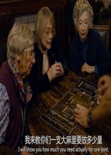 奶奶的现代社会指南