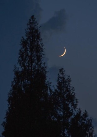 我婉拒了校花的表白，成全女友与白月光后